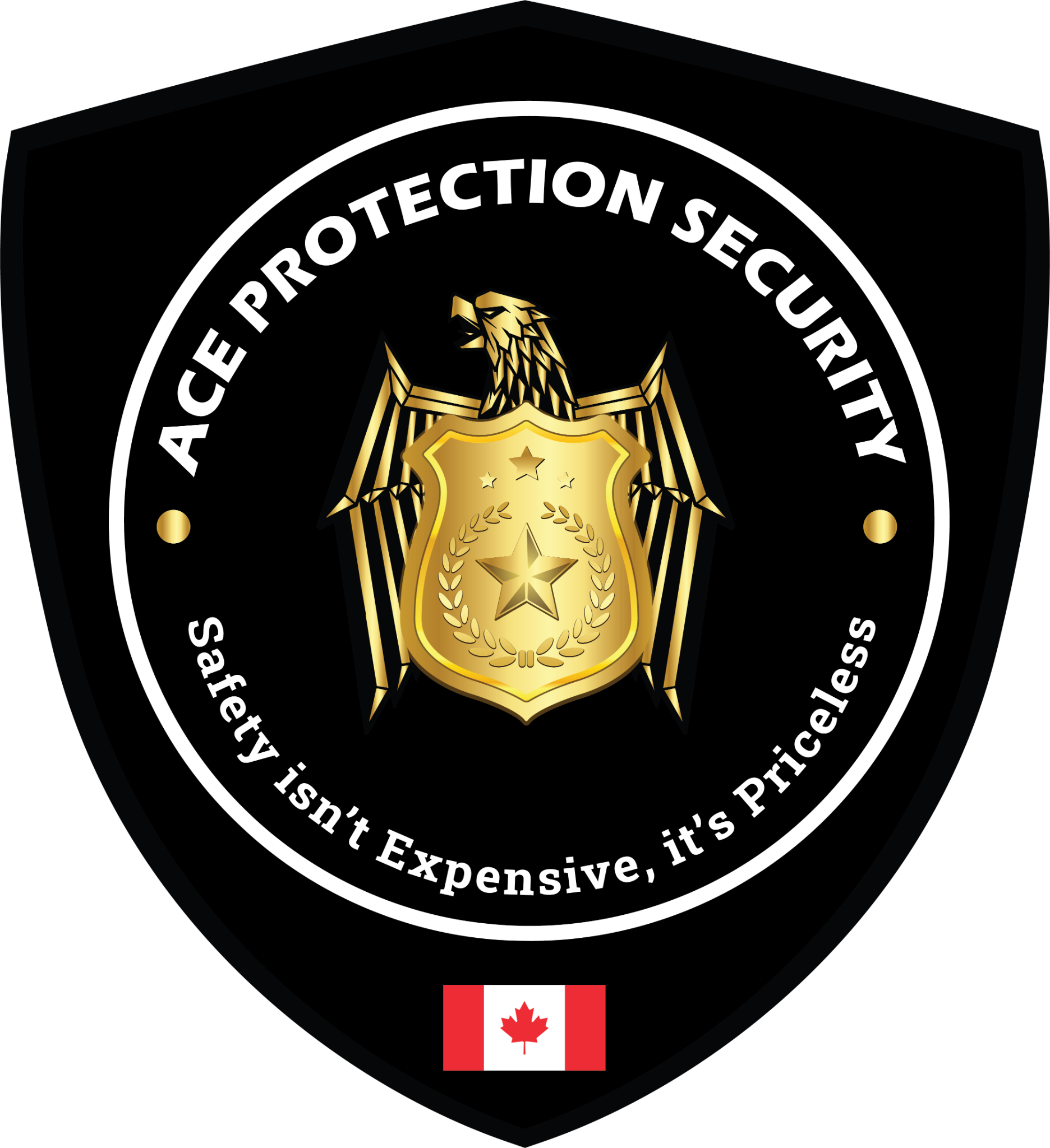 Ace Protection Security Inc.